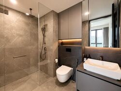 Irwell Hill Residences (D9), Apartment #592617901